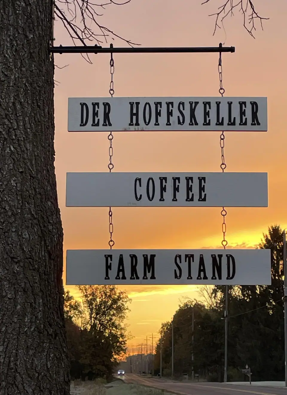 skeller sign
