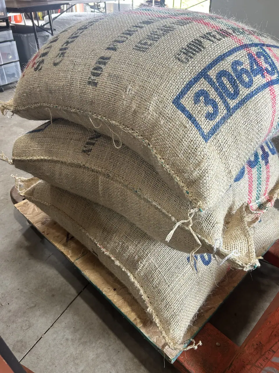 Colombian Supremo coffee beans in a burlap sack before roasting